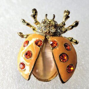 Beetle Bug Insect Brooch